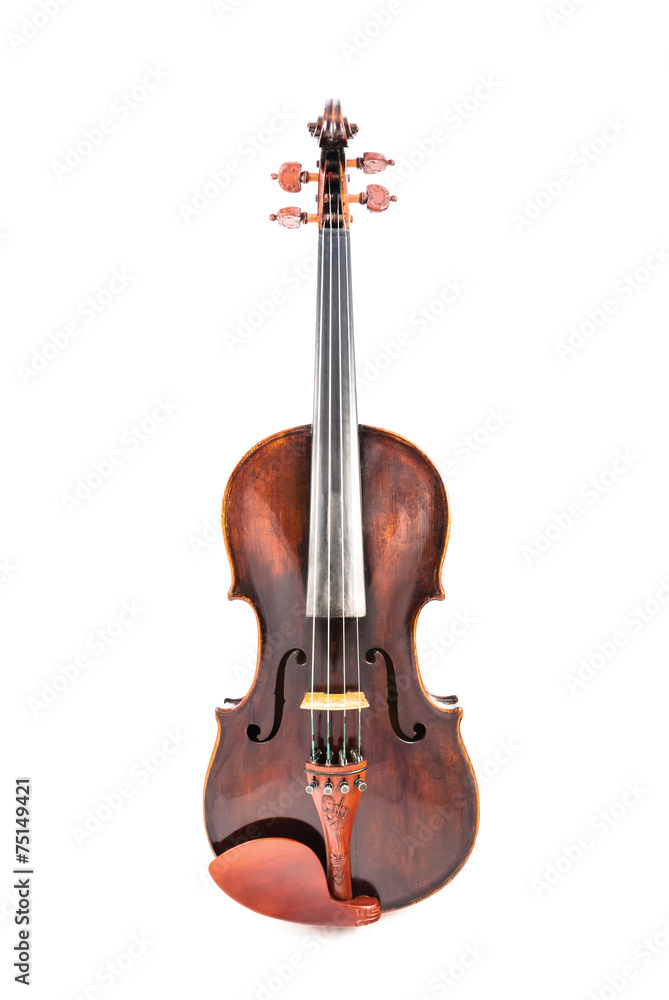 Obraz premium Violin or fiddle from the front side