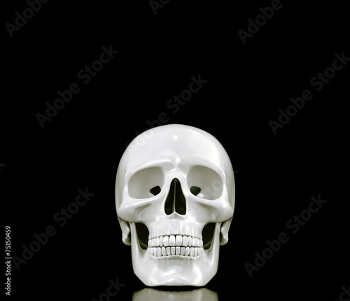 Skull on black background. High resolution 3d render.