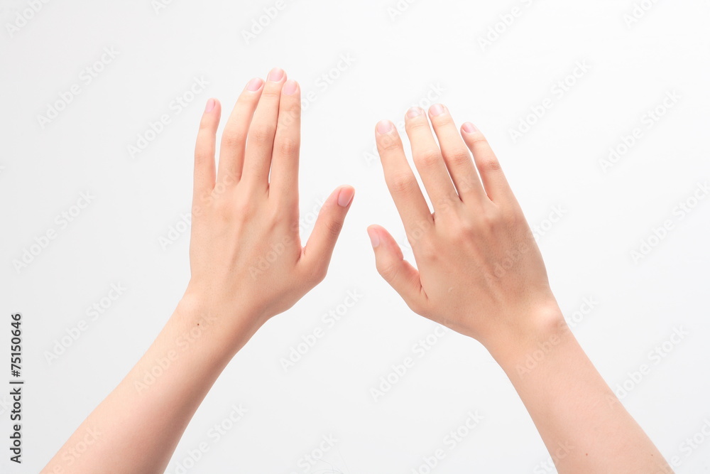 손 클로즈업 손 클로즈업