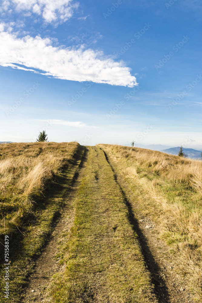 Fototapeta premium Trail by clearing