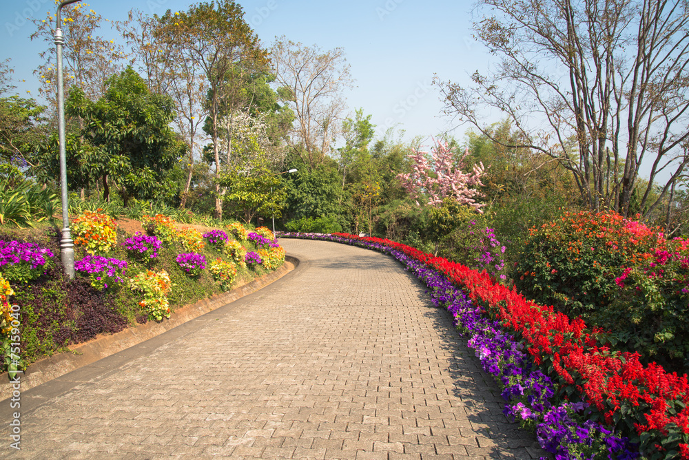 Beautiful garden in spring , Doi Tung ,Thailand..