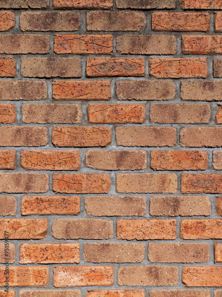 Fototapeta premium レンガの壁