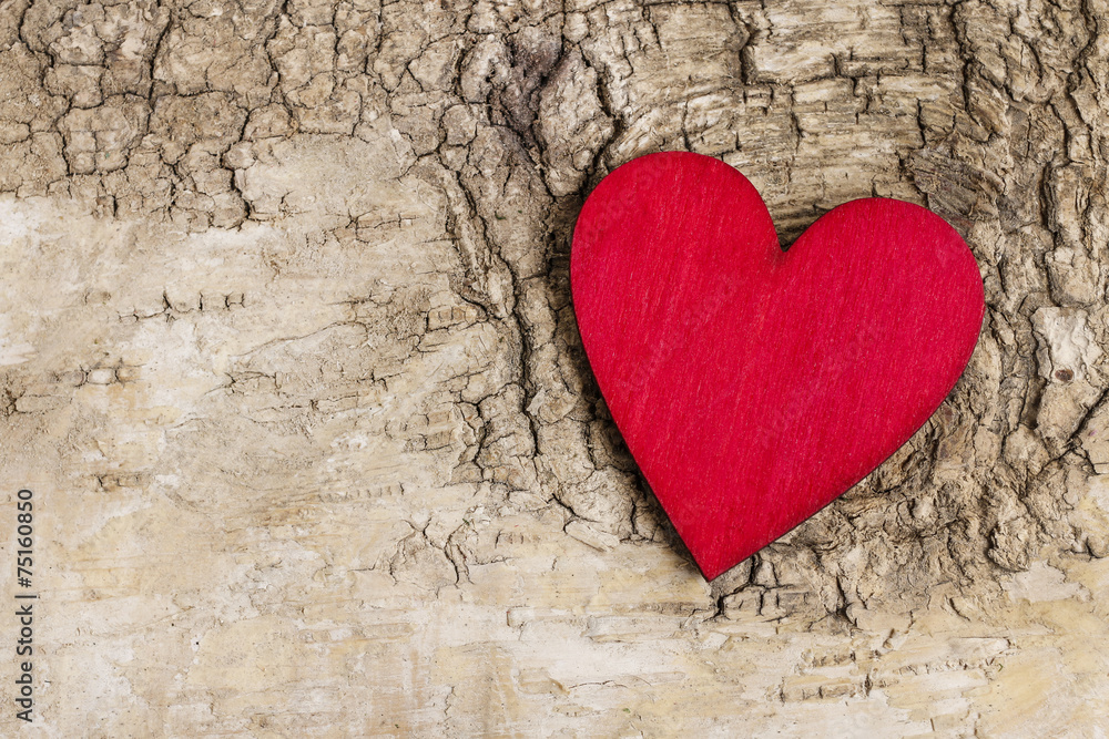 Red heart on bark background. Symbol of love Red heart on bark background. Symbol of love