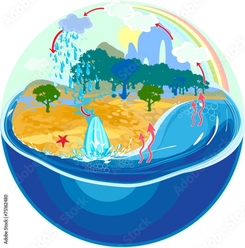 Water cycle in nature