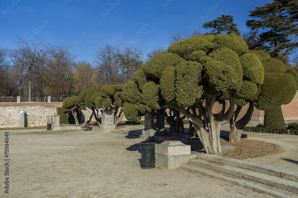 Arboles en el parque del retiro