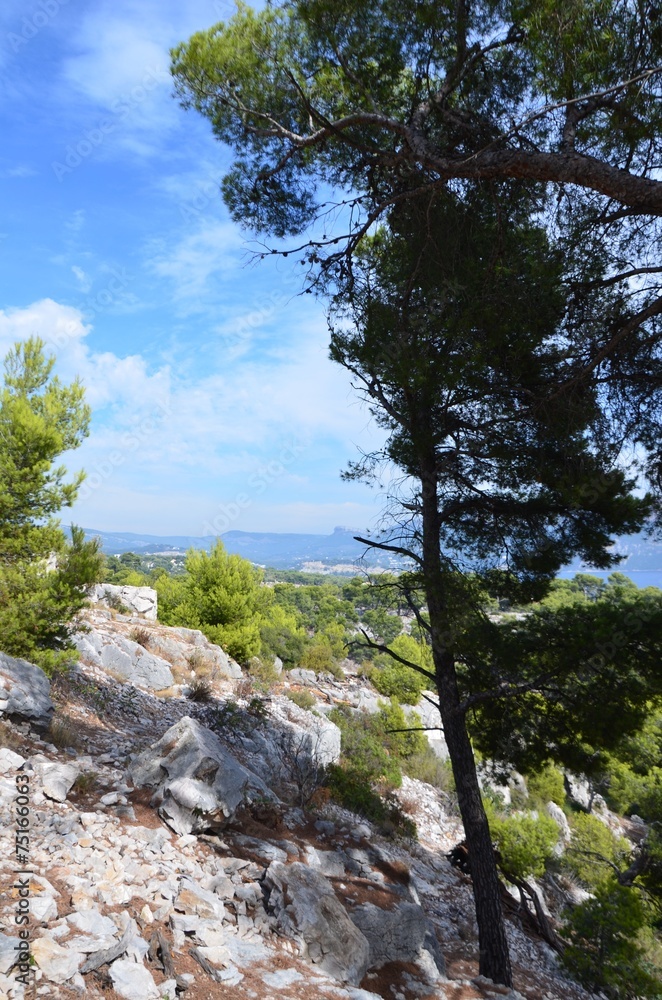 Les calanques de Marseille et Cassis 