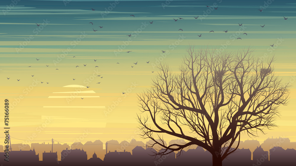 Lonely tree with birds on background of city at sunset.