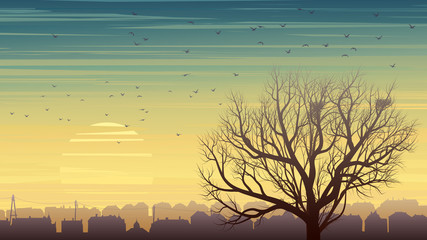 Lonely tree with birds on background of city at sunset.