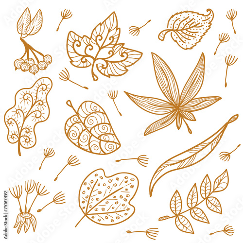 Autumn background with leaves ( vector)