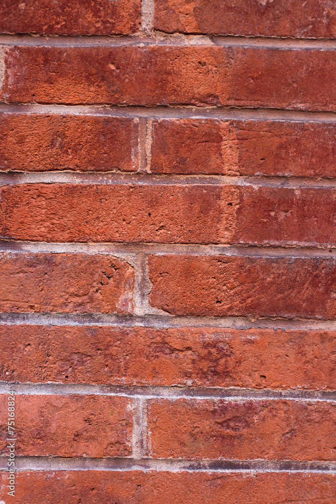 Obraz premium texture