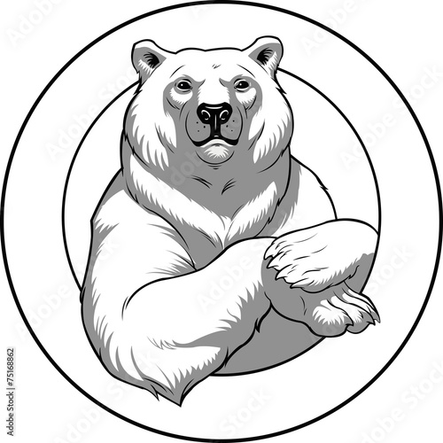 Vector illustration of a polar White bear