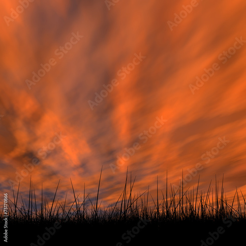 Black grass over sky sunset background © high_resolution