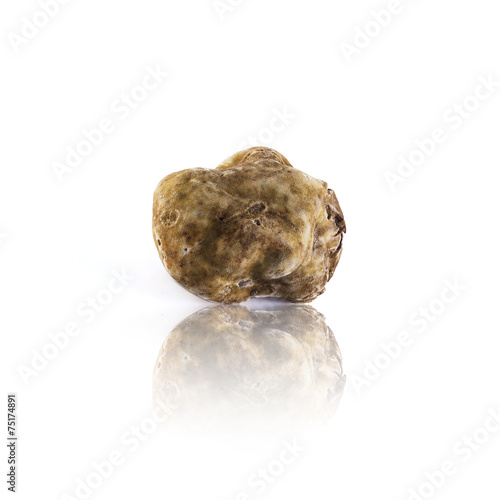 Fotografie white truffle tuber magnatum pico from Alba, italy