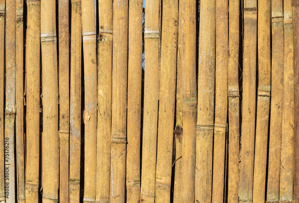 Bamboo background Bamboo background