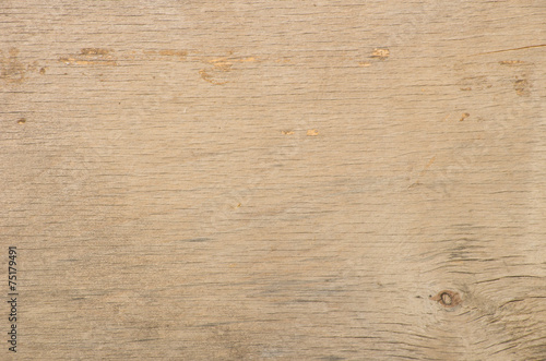 Texture of wood background closeup