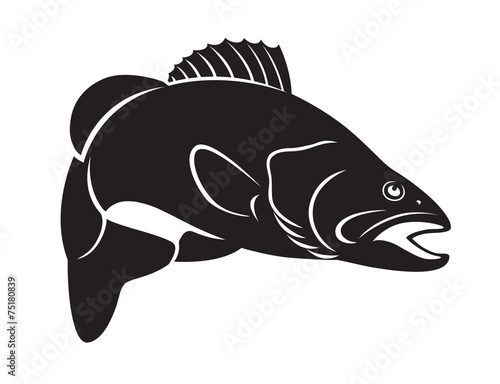fish bass