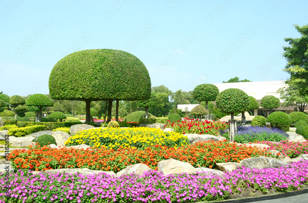 Flower garden in Thailand