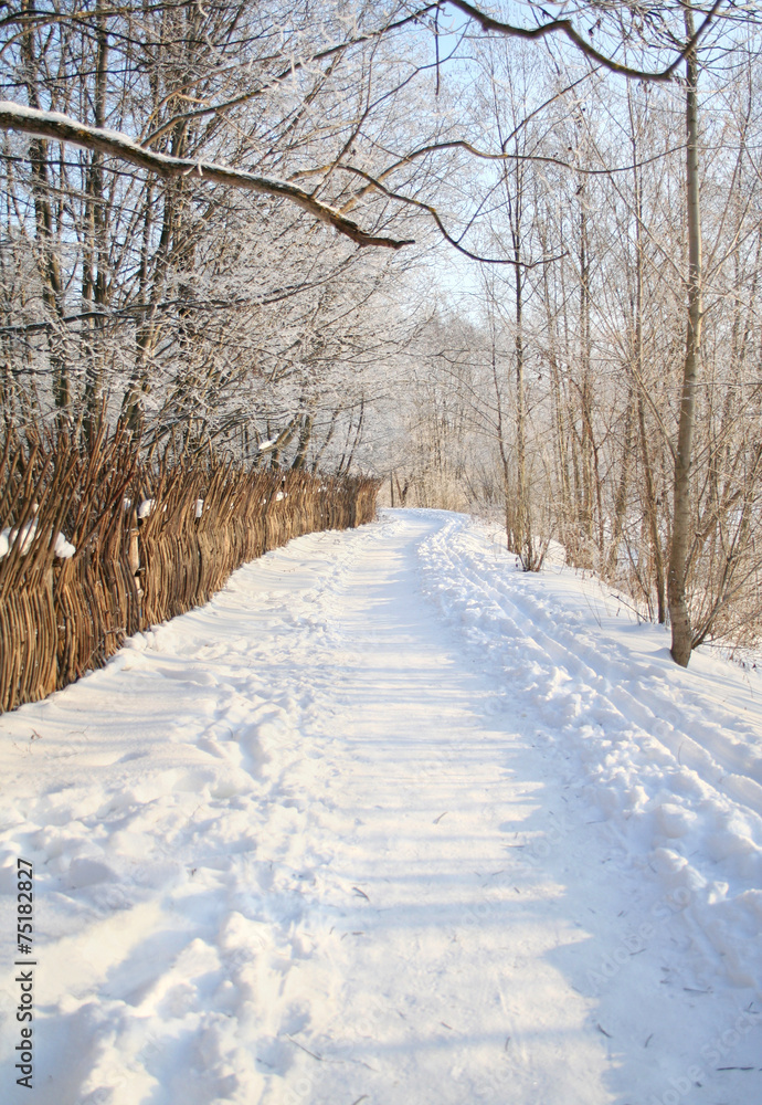 Fototapeta premium winter walkway