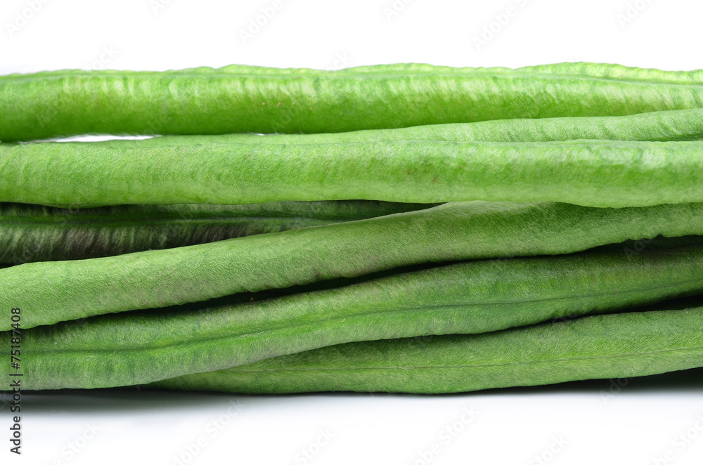 Fototapeta premium Yard Long bean