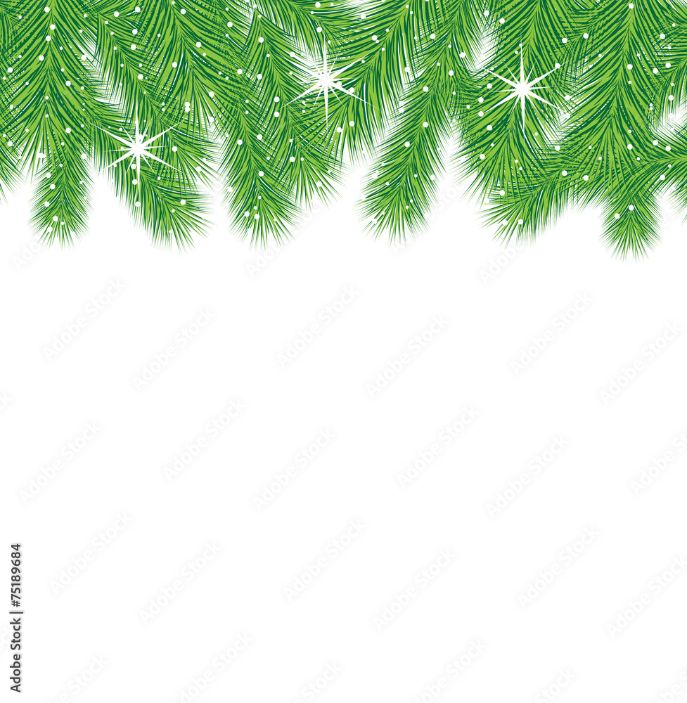 festive christmas background with green branches festive christmas background with green branches