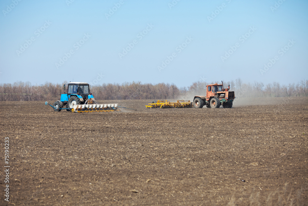 Fototapeta premium Sowing and harrowing in the spring