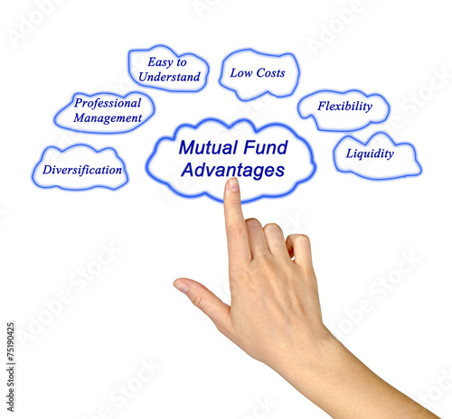 Mutual Fund Advantages