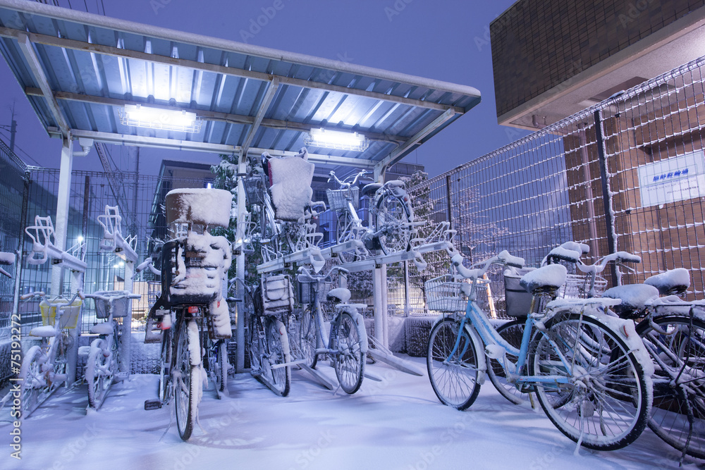 東京の大雪の夜　