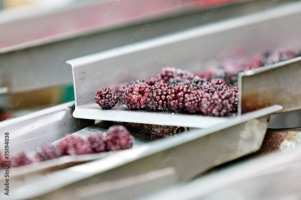 frozen raspberry processing business