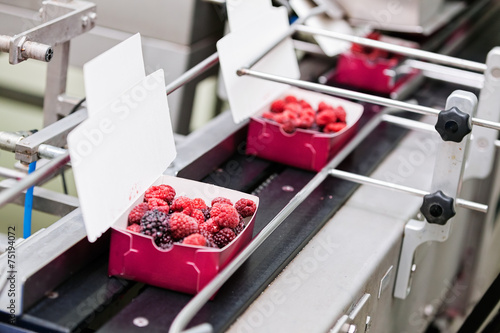 Obraz na płótnie frozen raspberry processing business w salonie