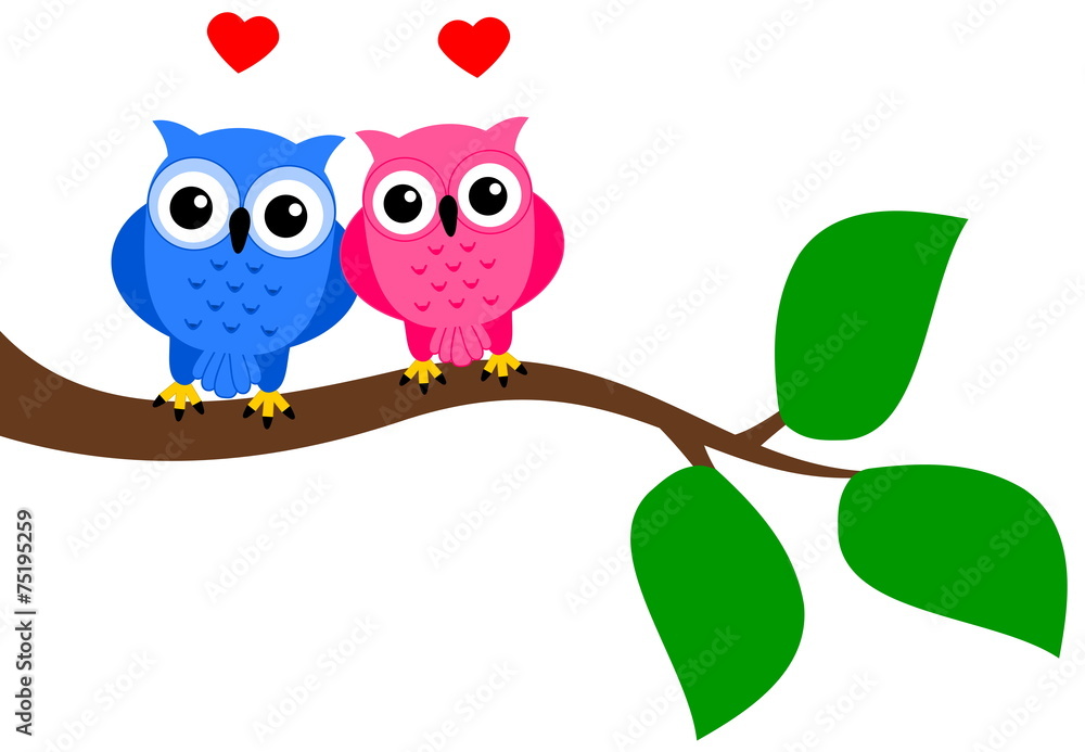 bird couple on branch bird couple on branch