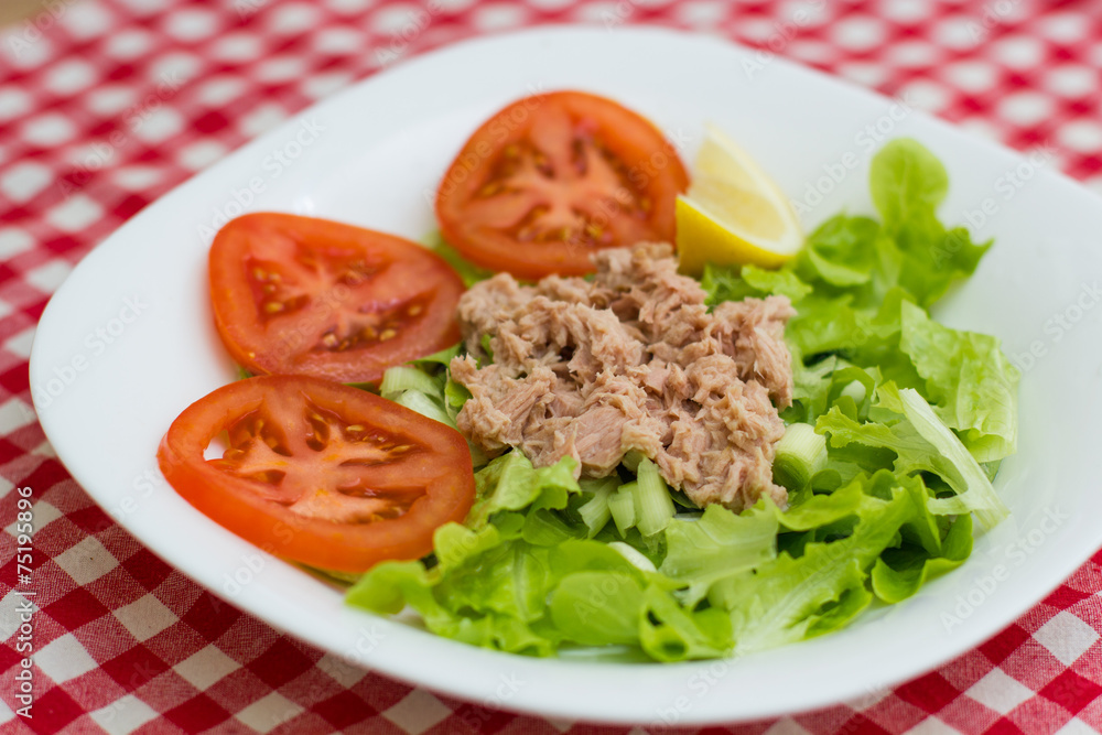 Tuna Fish Meat Over Green Salad Tuna Fish Meat Over Green Salad