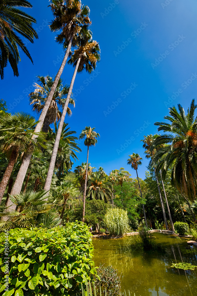 Fototapeta premium Alfabia Gardens