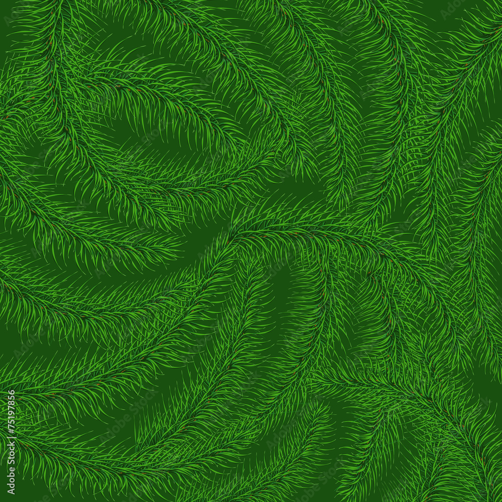 Background of green prickly branches of a Christmas tree