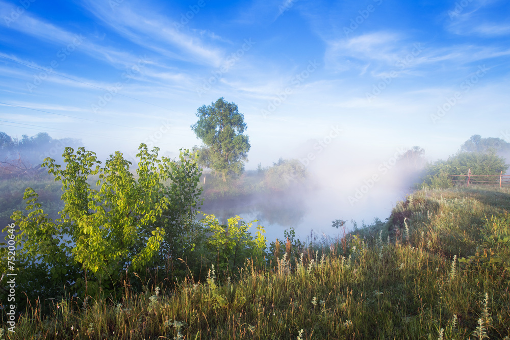 Foggy morning on the river