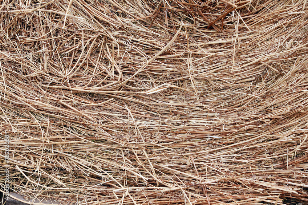 straw straw