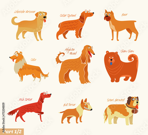 Dog breeds