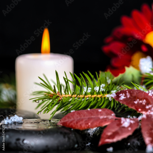 evergreen branches with drops, leaves,  snow, candles and chrysa photo