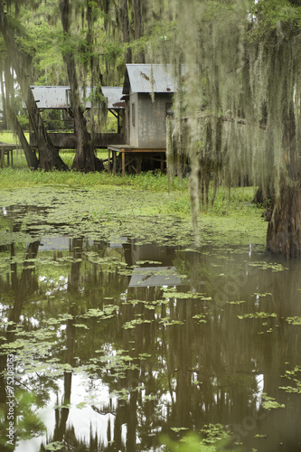 Swamp Bayou Scene of the American South