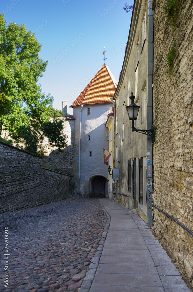 Tower of old Tallinn