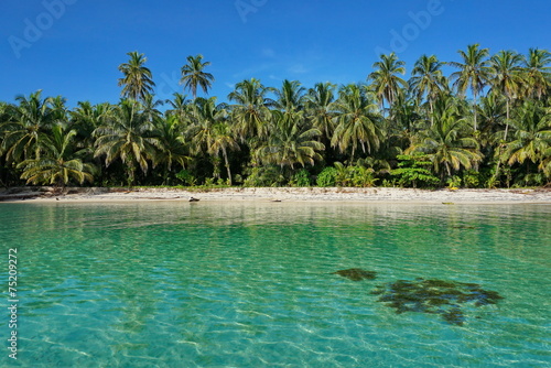 Untouched tropical shore of an island in Panama