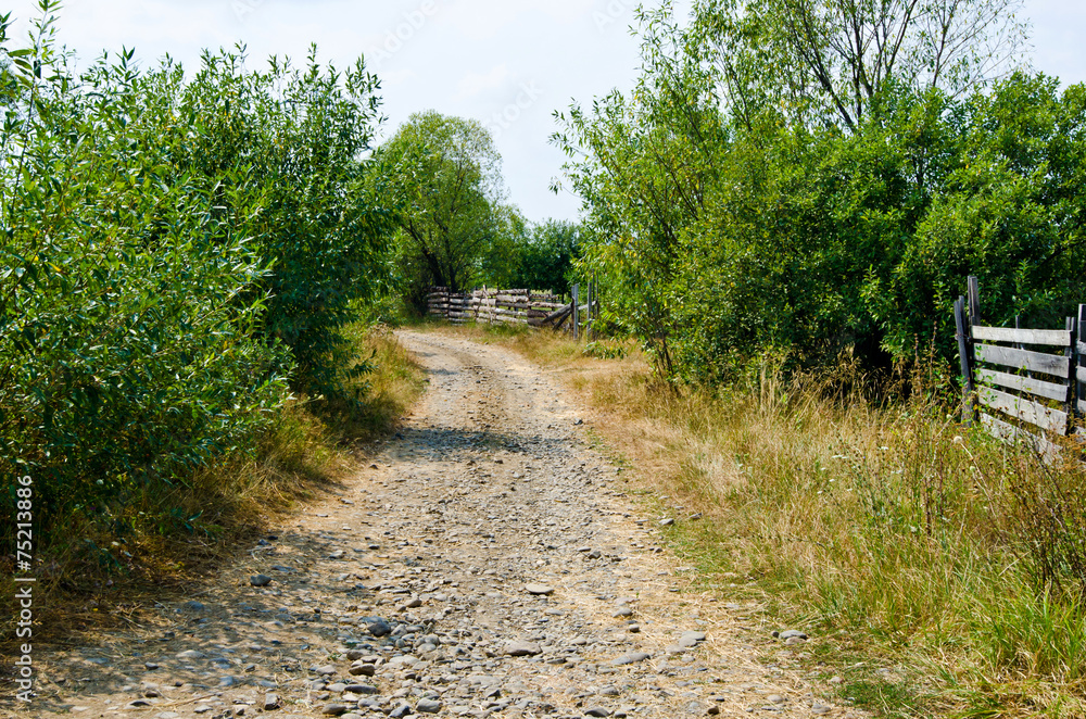 Country path. Rustic scene with a road.