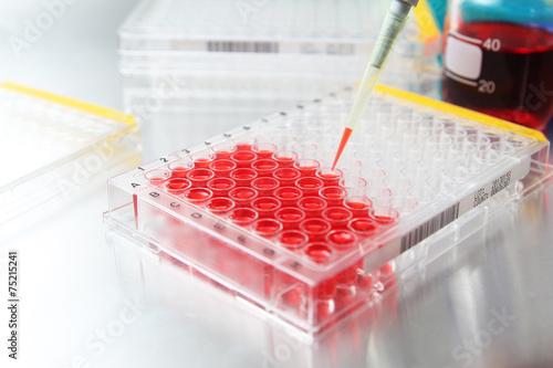 Sample being dropped into well plate in laboratory