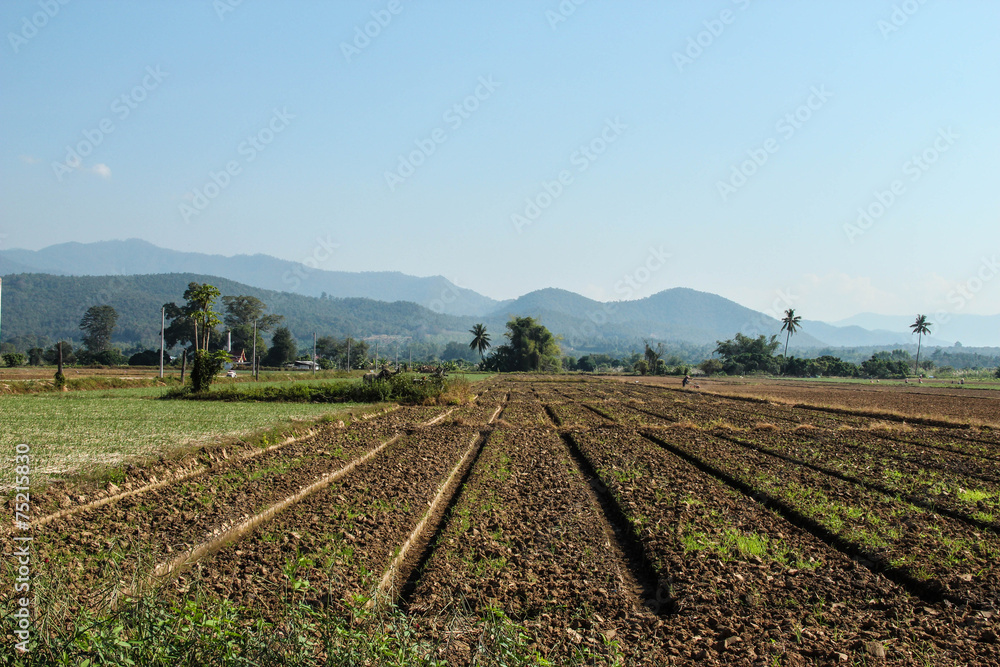 beautiful farm land