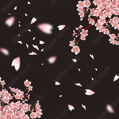 桜吹雪　4