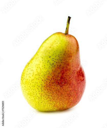 Brightly colored corella pear isolated on white
