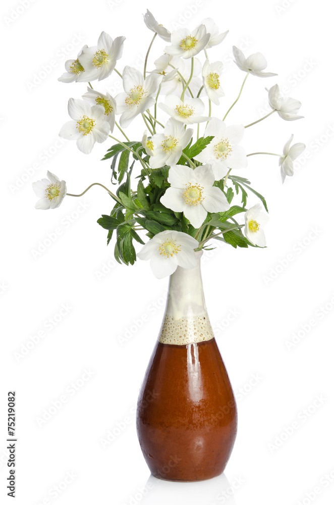 Obraz premium Beautiful bouquet of white flowers in a ceramic vase isolated on