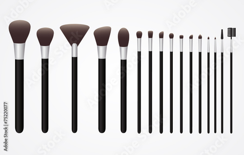 Set of Cosmetic Brushes for Make up