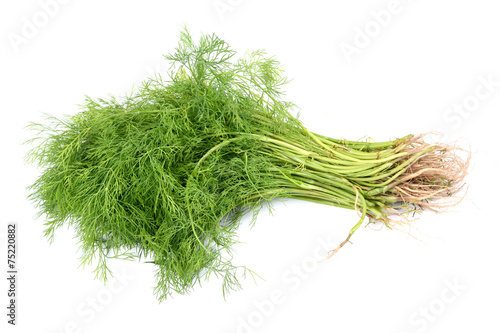 Cuadro en lienzo Anethum graveolens on white background