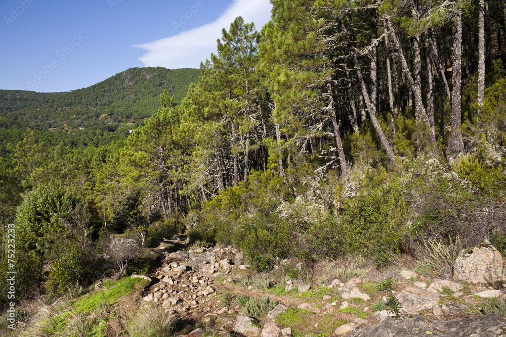 Garganta de los Pozos. Sierra de Gredos. Avila Garganta de los Pozos. Sierra de Gredos. Avila
