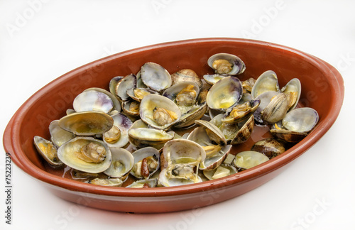 Clams